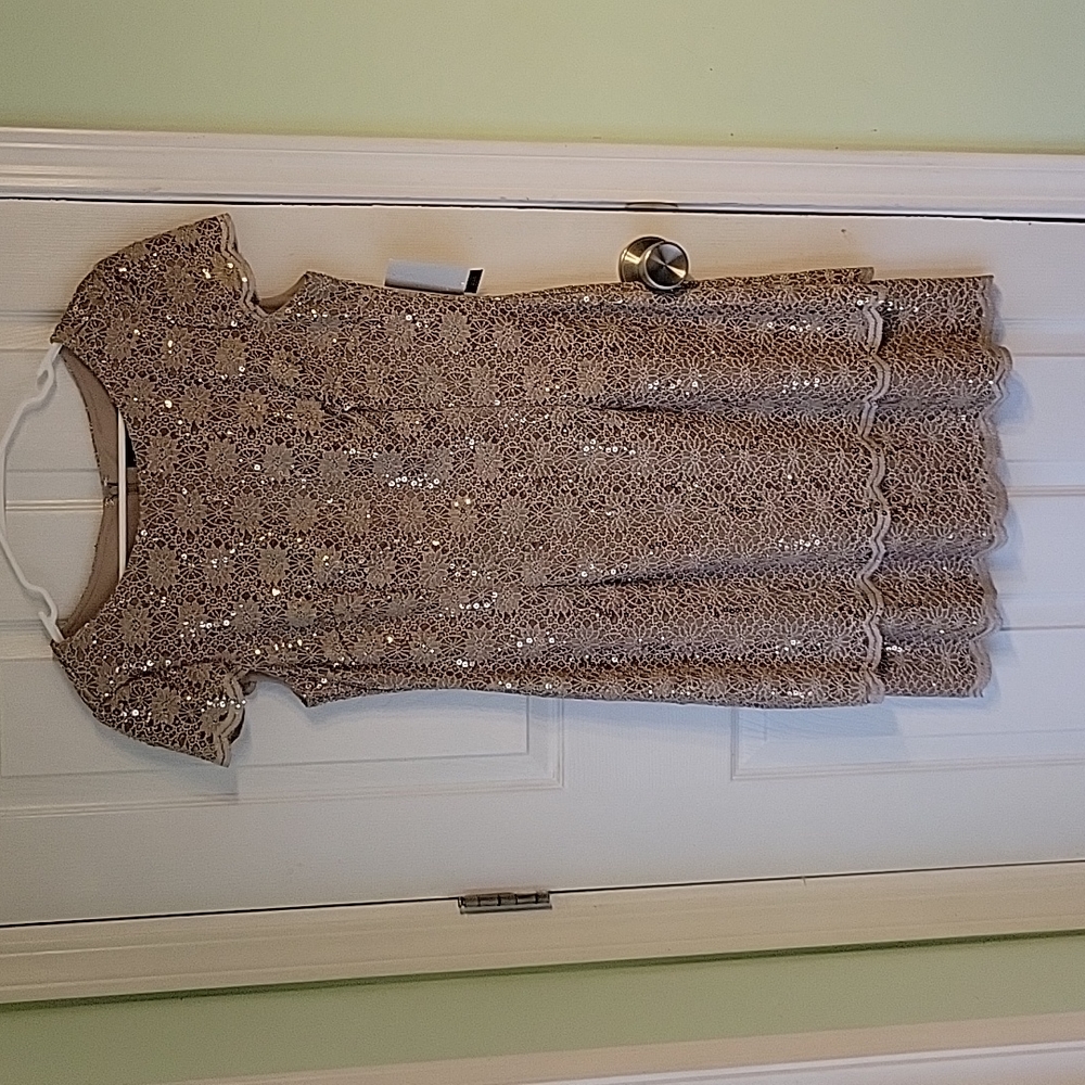 Alex evenings dress